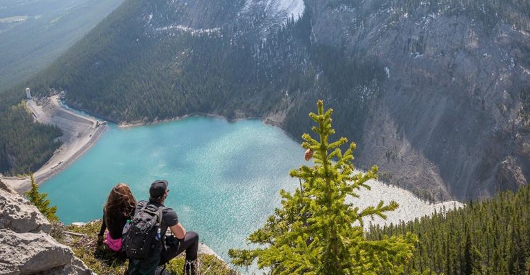 Dramatically cultivate viral paradigms after